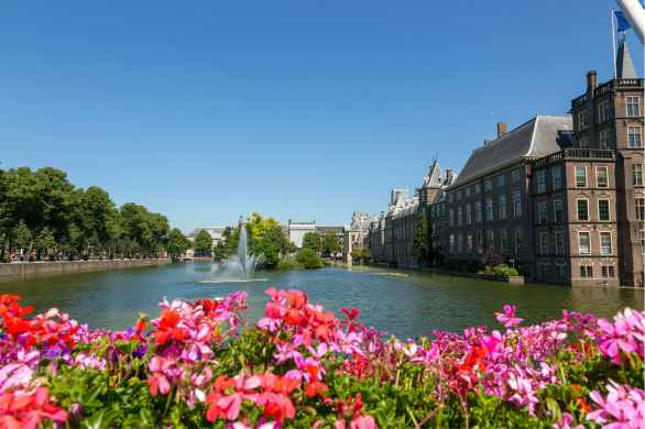 Subsidienieuws