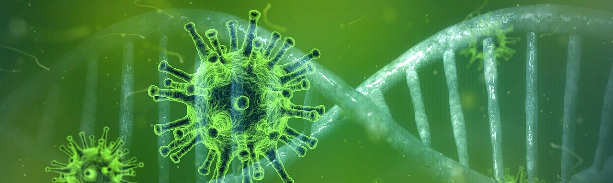 OOvB Coronavirus