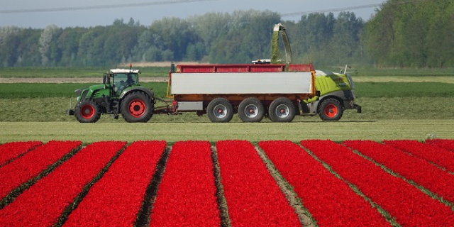 Pachter niet verplicht om betalings- en fosfaatrechten over te dragen aan het einde van de pachtovereenkomst.