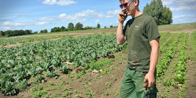 Minister van LNV wil langdurige pacht stimuleren 