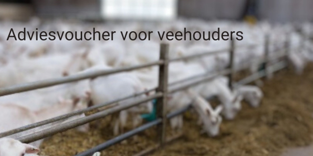 Veehouders met piekbelasting opgelet: aanvragen adviesvouchers per 10 juli