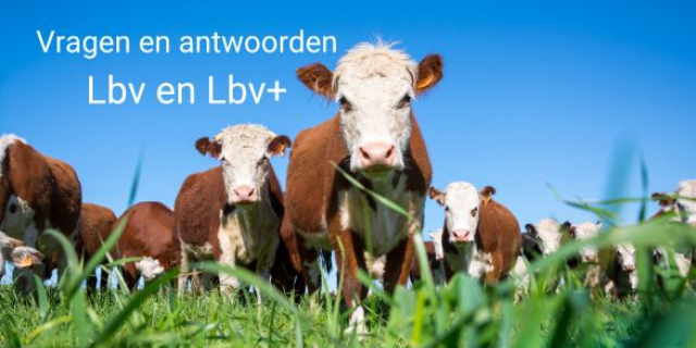 Vragen en antwoorden Landelijke beëindiging regelingen veehouderij - Lbv en Lbv+