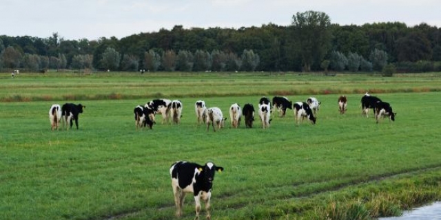 Besluit Ministerie over gewasrotatie en vruchtwisseling