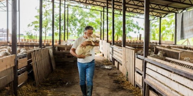 Vestigingssteun voor jonge landbouwers opent op 2 maart 2026